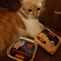 photo de livraison pour Tends-nous la Patte
