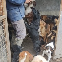 photo de livraison pour Svetlana Bjelogrlic
