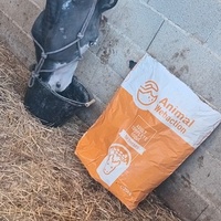 photo de livraison pour Equi-Libre : Droit à la Retraite Equine