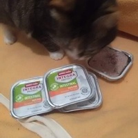 photo de livraison pour Stérilcat 80