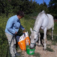 photo de livraison pour La Retraite des Chevaux des Causses