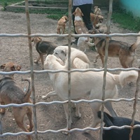 photo de livraison pour Svetlana Bjelogrlic