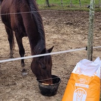 photo de livraison pour Haras d'Ealmy