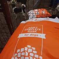 photo de livraison pour Animal Shields Oradea