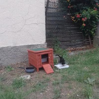 photo de livraison pour U Ghjattinu di Corti