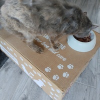 photo de livraison pour CAPPA