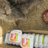 photo de livraison pour Au Bonheur des Chats Libres