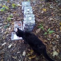 photo de livraison pour Contrôle & Protection des Chats Andréens