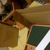 photo de livraison pour Lezard