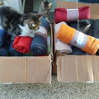 photo de livraison pour Chez Minou