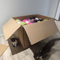 photo de livraison pour Chiens, Chats et Cie