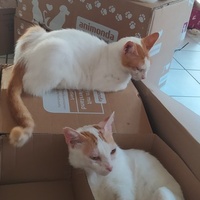 photo de livraison pour Une Maison pour la Vie