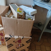 photo de livraison pour Les chats de l'Indifférence