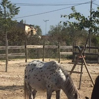 photo de livraison pour La Ferme des Zanimobiles