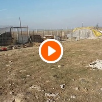 photo de livraison pour Animal Shields Oradea