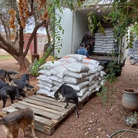 photo de livraison pour Help Adopt Moroccan Animals