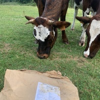 photo de livraison pour Espoir au Galop