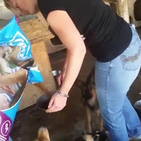 photo de livraison pour Prieten Credincios