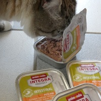 photo de livraison pour Jardin des Chats