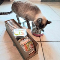 photo de livraison pour L'école du Chat d'Ollioules