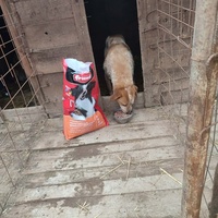 photo de livraison pour Samira Gagula