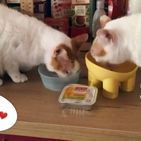 photo de livraison pour Une Maison pour la Vie