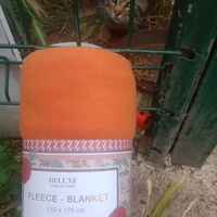 photo de livraison pour Les Chats-Pitresdelavi-Ste