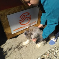 photo de livraison pour Alina & Anda