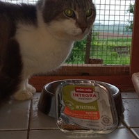 photo de livraison pour Ecole du Chat Libre de Caillerot