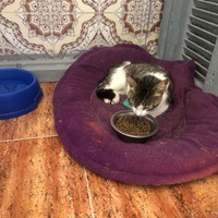 photo de livraison pour Hajar Aourz