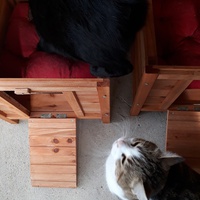 photo de livraison pour Les Aristocats