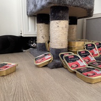 photo de livraison pour Les P’tits Bâtards