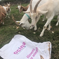 photo de livraison pour Espoir au Galop