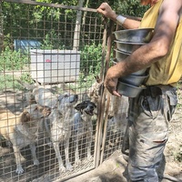 photo de livraison pour Svetlana Bjelogrlic