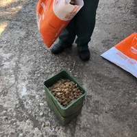 photo de livraison pour Florentina Cioaca