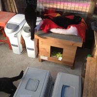 photo de livraison pour Association Des  Chats  De Hyeres