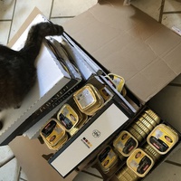 photo de livraison pour Chats-sos