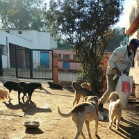 photo de livraison pour UMPA