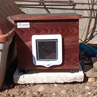 photo de livraison pour Cat Miaou