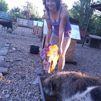 photo de livraison pour Antonia Save Animals