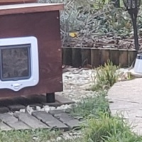 photo de livraison pour Aidons nos Molosses