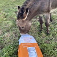 photo de livraison pour Espoir au Galop