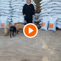 photo de livraison pour Le Coeur sur la Patte