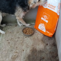 photo de livraison pour Speranta Pentru Animale