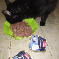 photo de livraison pour Les Pattounes de l'Espoir