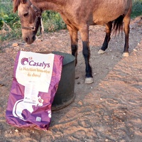 photo de livraison pour Equi-Libre : Droit à la Retraite Equine
