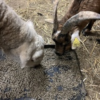 photo de livraison pour Refuge du Poil à la Plume