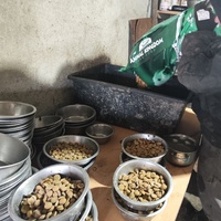 photo de livraison pour Svetlana Bjelogrlic