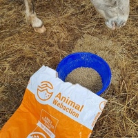 photo de livraison pour La Retraite des Chevaux des Causses