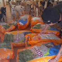 photo de livraison pour Sanctuaire de la Faune de Tanger (SFT)